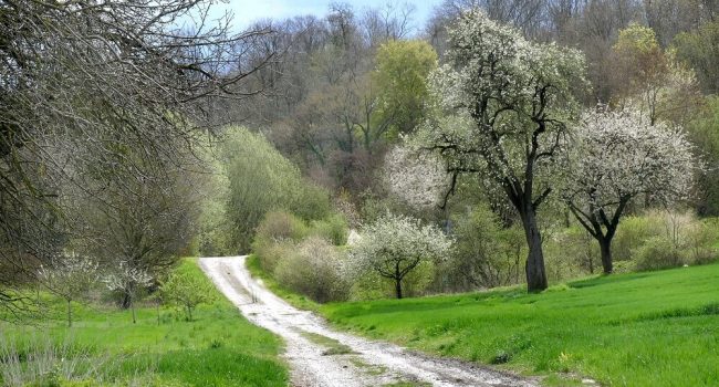 environnement bartenheim