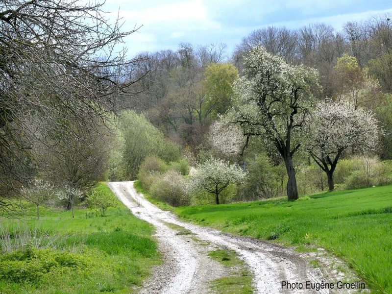 environnement bartenheim