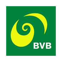 Tram Bâle BVB