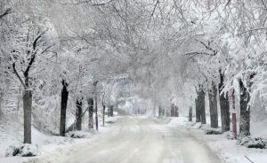 Neige